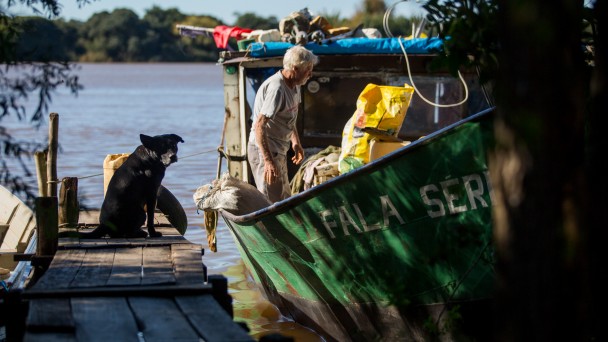Imagem de barco verde com pescador, ao lado de trapiche com um cachorro sentado