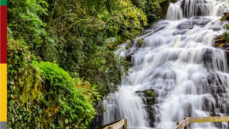 Cascata cai em meio a árvores com folhas verdes no Rio Grande do Sul