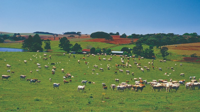 turismo rural
