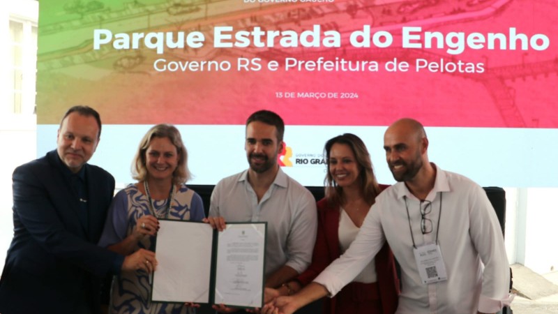 obra pelotas